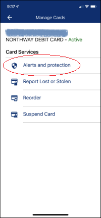 image of Northway Bank mobile banking app - card services - alerts and protection option